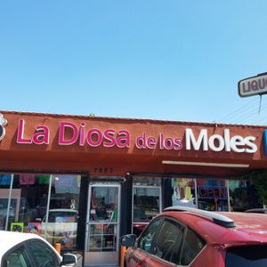 La Diosa de los Moles